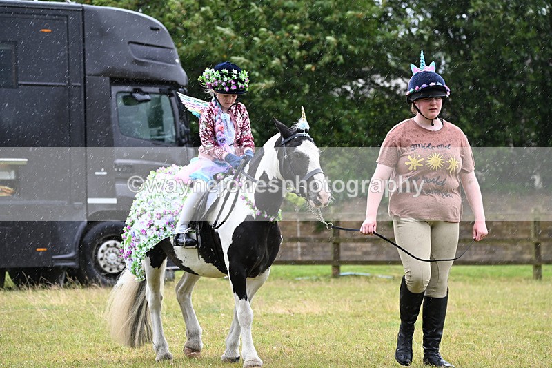 WJ6_9101 - Class 11 Fancy Dress
