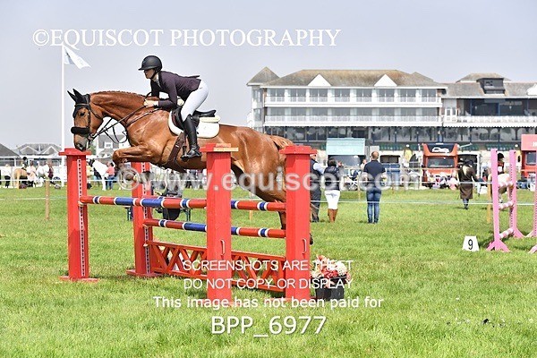 BPP_6977 - CLASS 3 RHS Fox Champ Qual (1.20m)