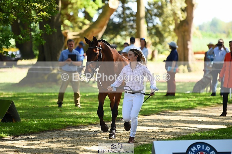 230524-152728-00276 - 329-VINTAGE_GRAFFITI-Alice_Hallows-WEDTrotUp+DR