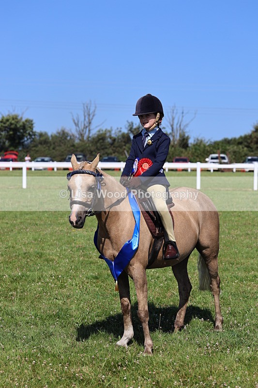 IMG_1857 - Plaited Mini Ridden Championship