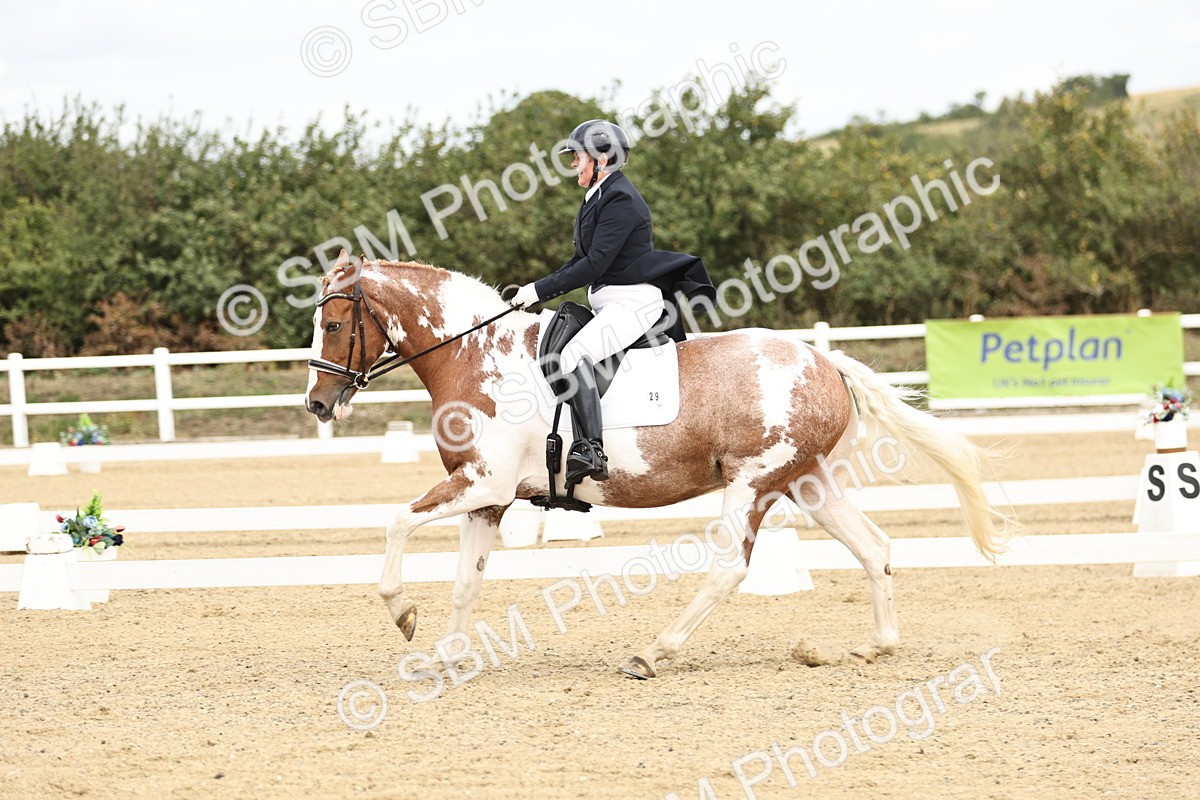 SBM_007337 - Class 25 - FEI PSG Bronze