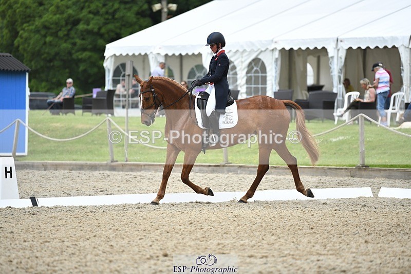 230525-125257-02048 - 112-BILLY_MAPLE-Kitty_King-WEDTrotUp+DR