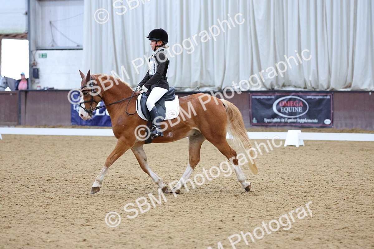 SBM_004208 - Intermediate