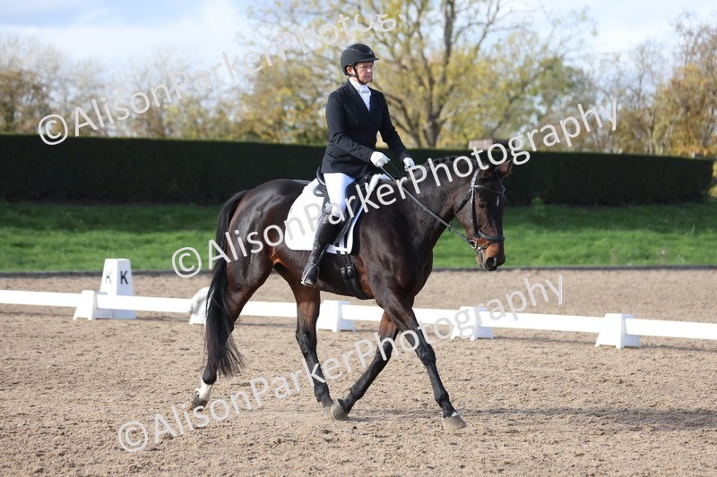 20251101-0647 - Class 5 - Novice 3