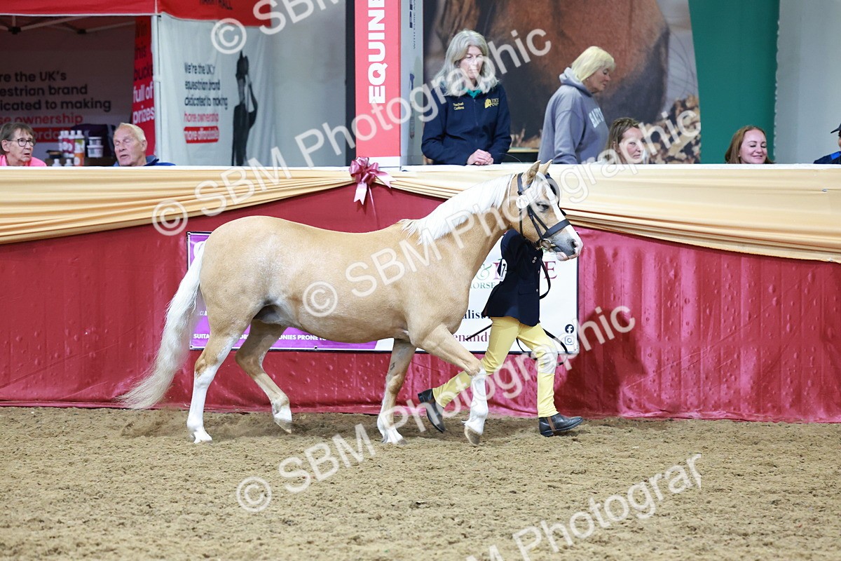SBM_19936 - Class A - Junior Champ 10yr and Under