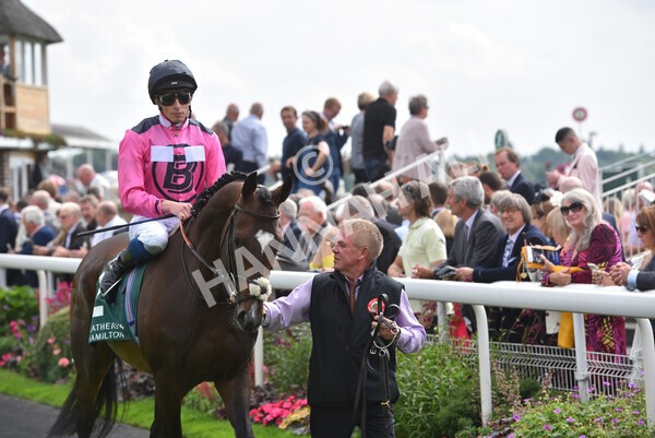 yr20082021r2-37 - Race 2 2.25pm Weatherbys Hamilton Lonsdale Cup (British Champion Series race)