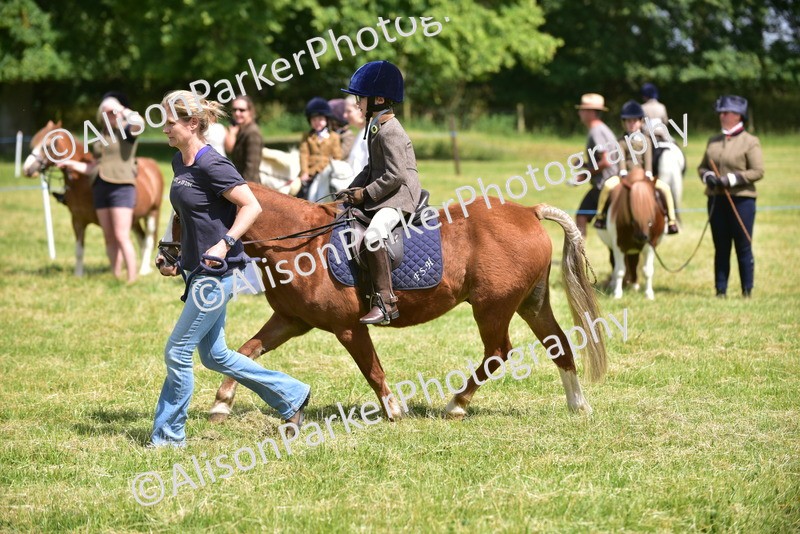 20260614-1229 - Class 11a - Lead Rein Pony (Unplaited)