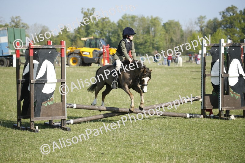 20250427-0267 - Class 12 - Rookie Jumping 40cm