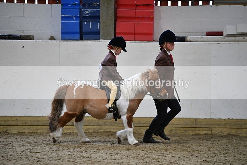 WJ5_6769 - Class 10 Childs Pony