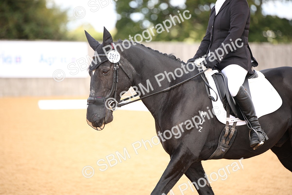 SBM_04273 - D2 Small Tour Championship Intro C