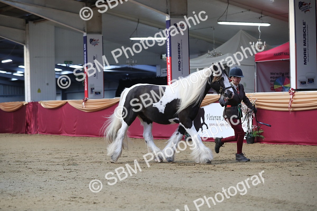 SBM_01413 - Class 3a Area IH Pre Vet