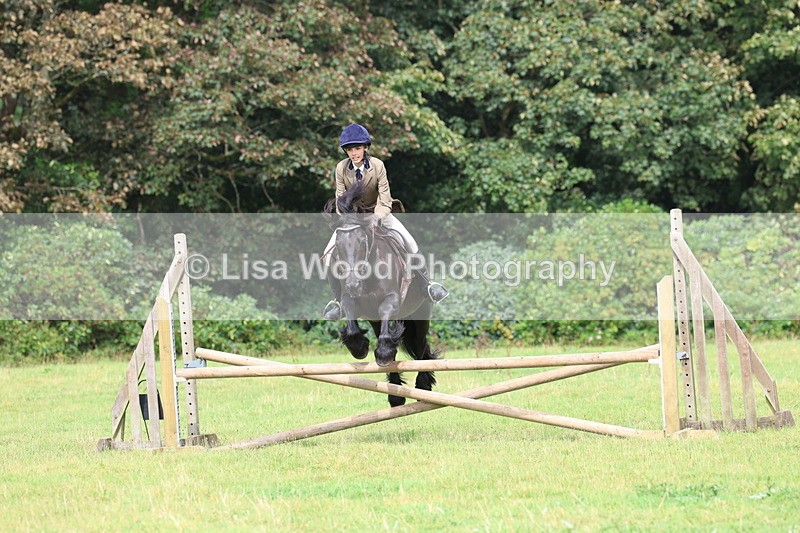 3E7A5804 - Class 26 and 27: 70cm Working Hunter