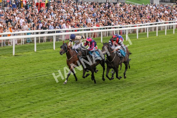260724-Race 2-Churchella-3993 - Race 2 6.05pm Pearly Cow Handicap