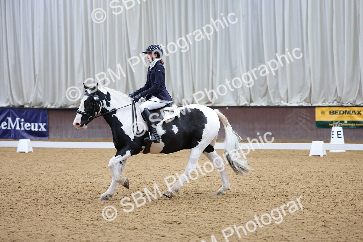 SBM_002617 - Novice