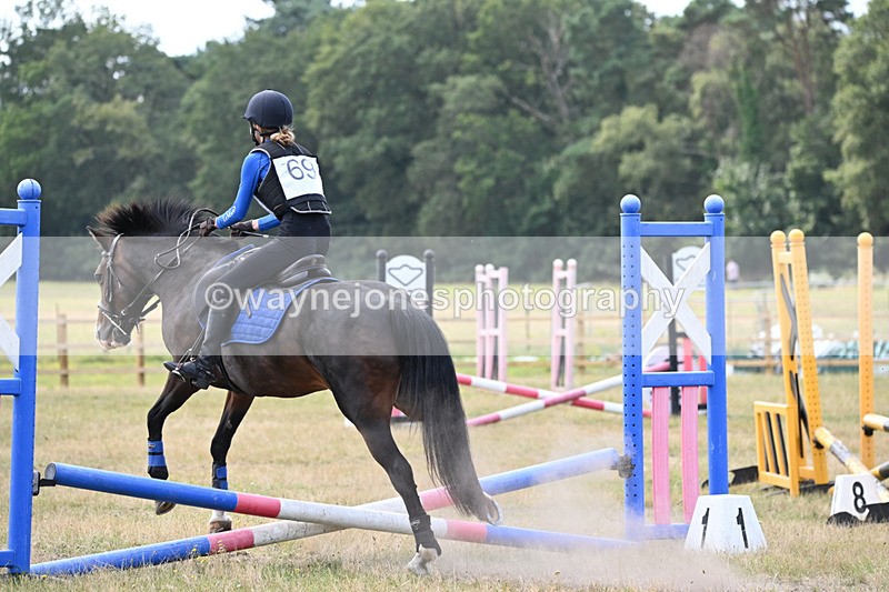 WJ6_9276 - 60cm Time 11:54 to 12:13