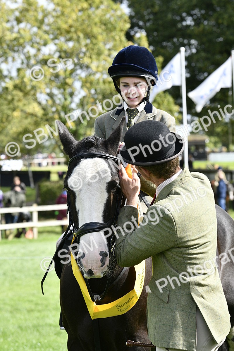 SBM_41640 - S32 - Mountain & Moorland Working Hunter Pony