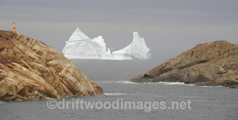 Iceberg - Greenland