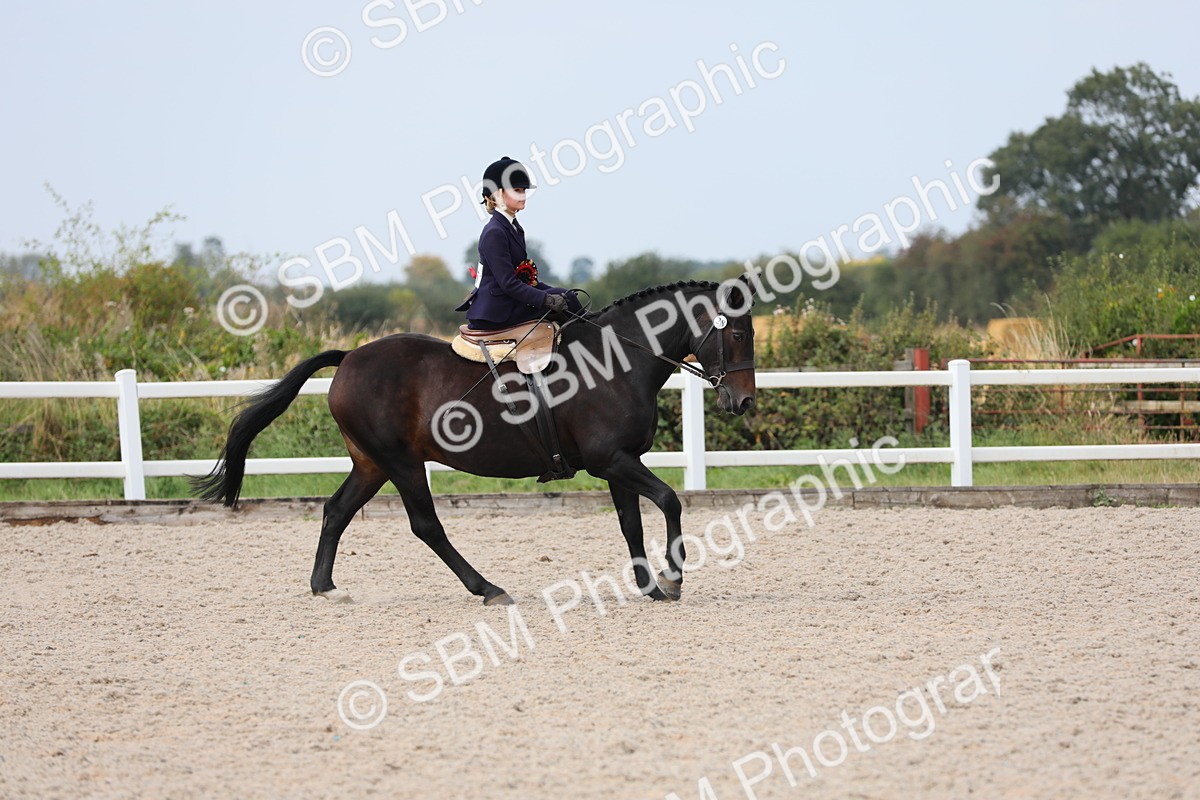 SBM_14636 - Class 211 Best Side Saddle Horse/Pony