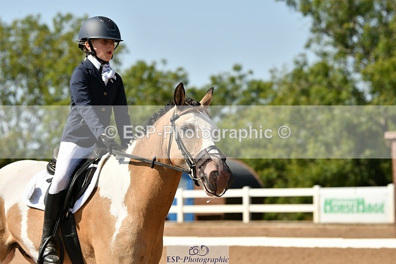 250817-144522-10261 - 172-Lilly.PapworthCammach.Wheres.Whally