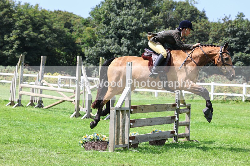 3E7A8893 - Class 6: Open Working Horse