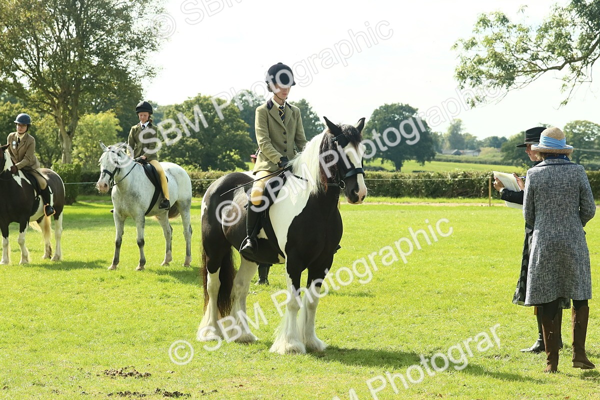 SBM_67585 - S56 - Coloured Pony Ridden