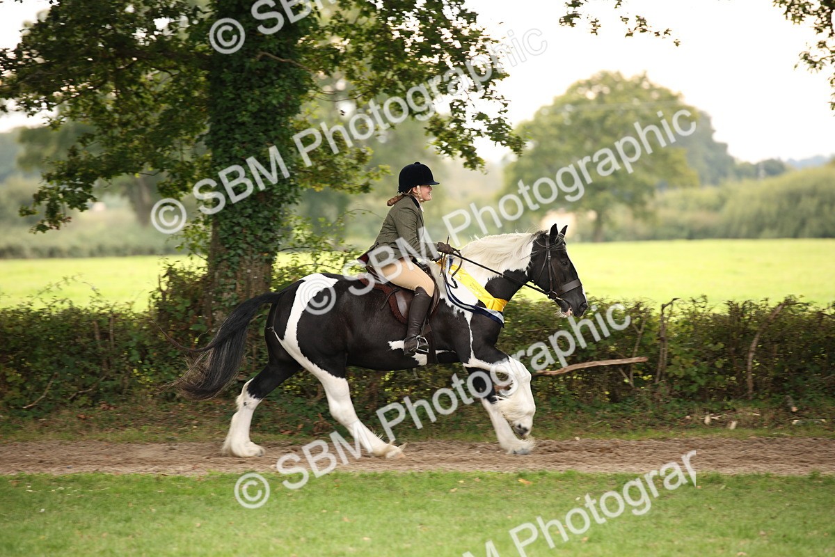 SBM_73660 - Ridden Horse Supreme Championship