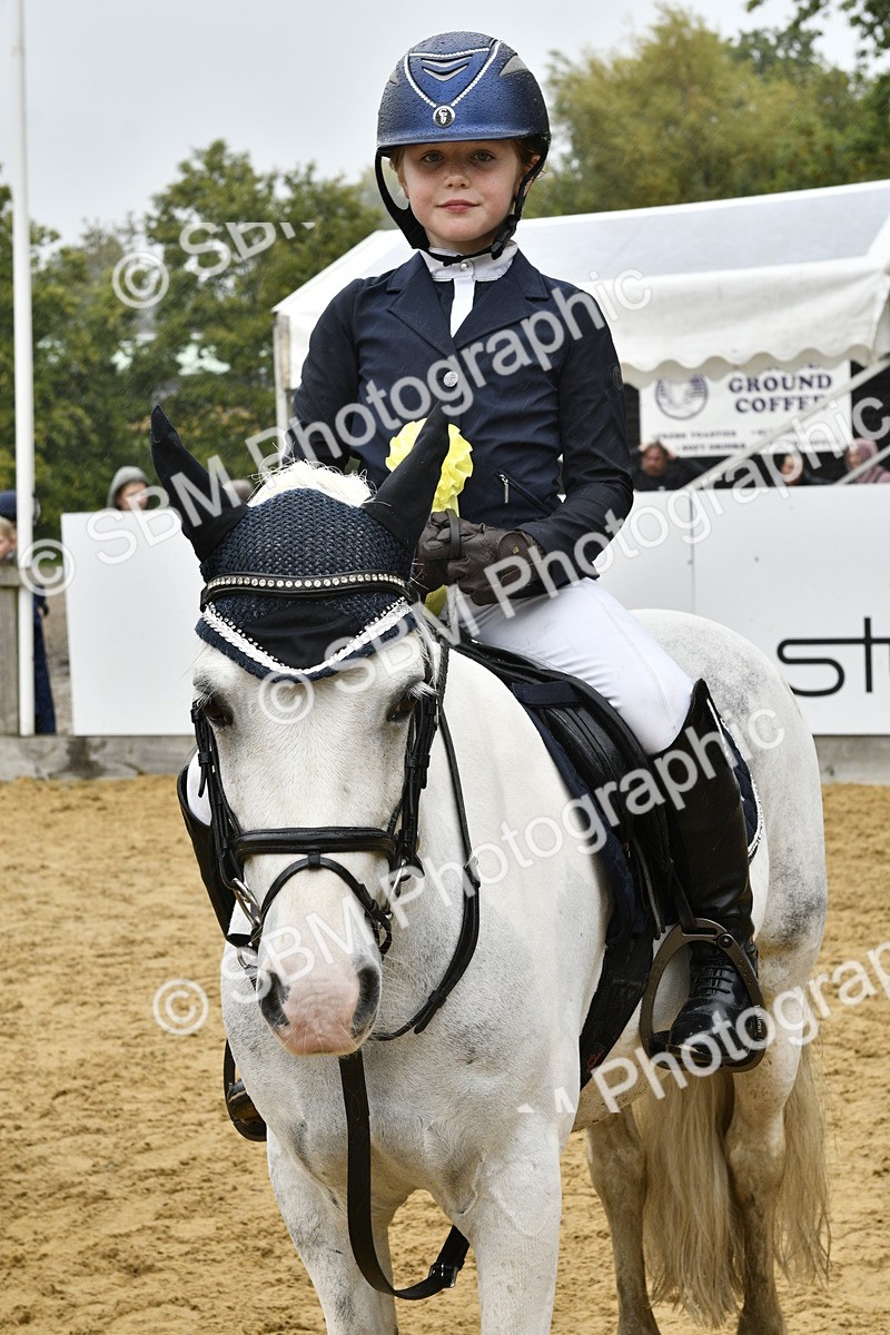 SBM_71012 - J3 - Mini Tour Junior Pony 40cm championship