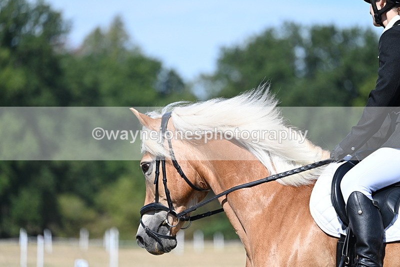 WJ7_0253 - Time 11:33 to 11:44