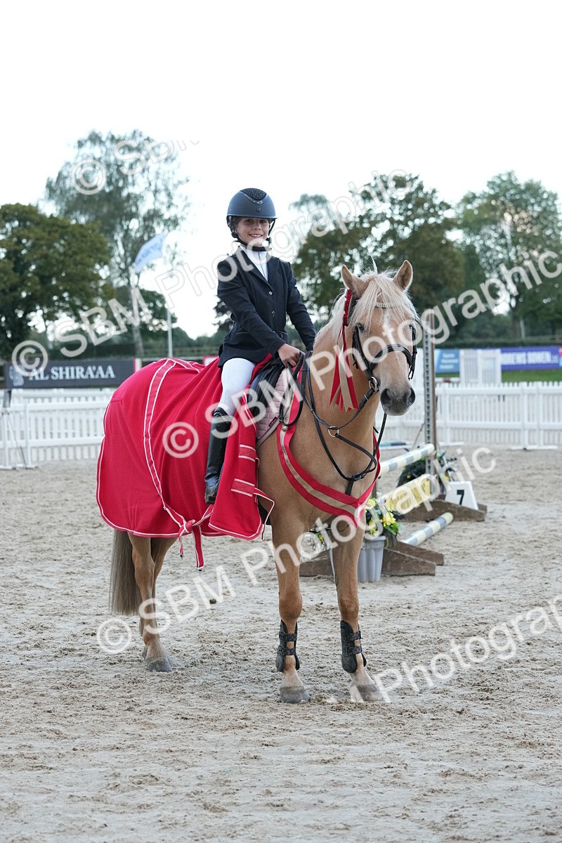 SBM_54231 - Supreme Championship 60cm 65cm