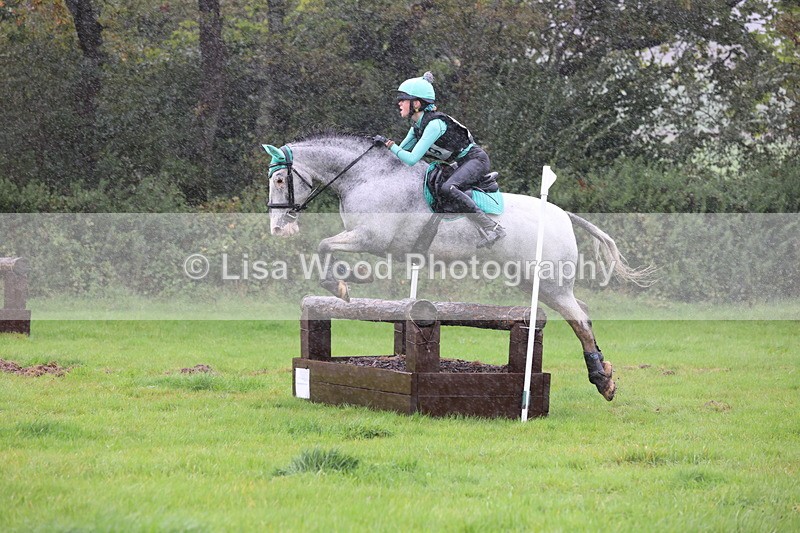 JPP_5420 - Class 4: 80cm: Crossed Logs