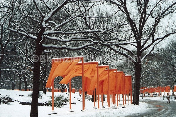  - Central Park