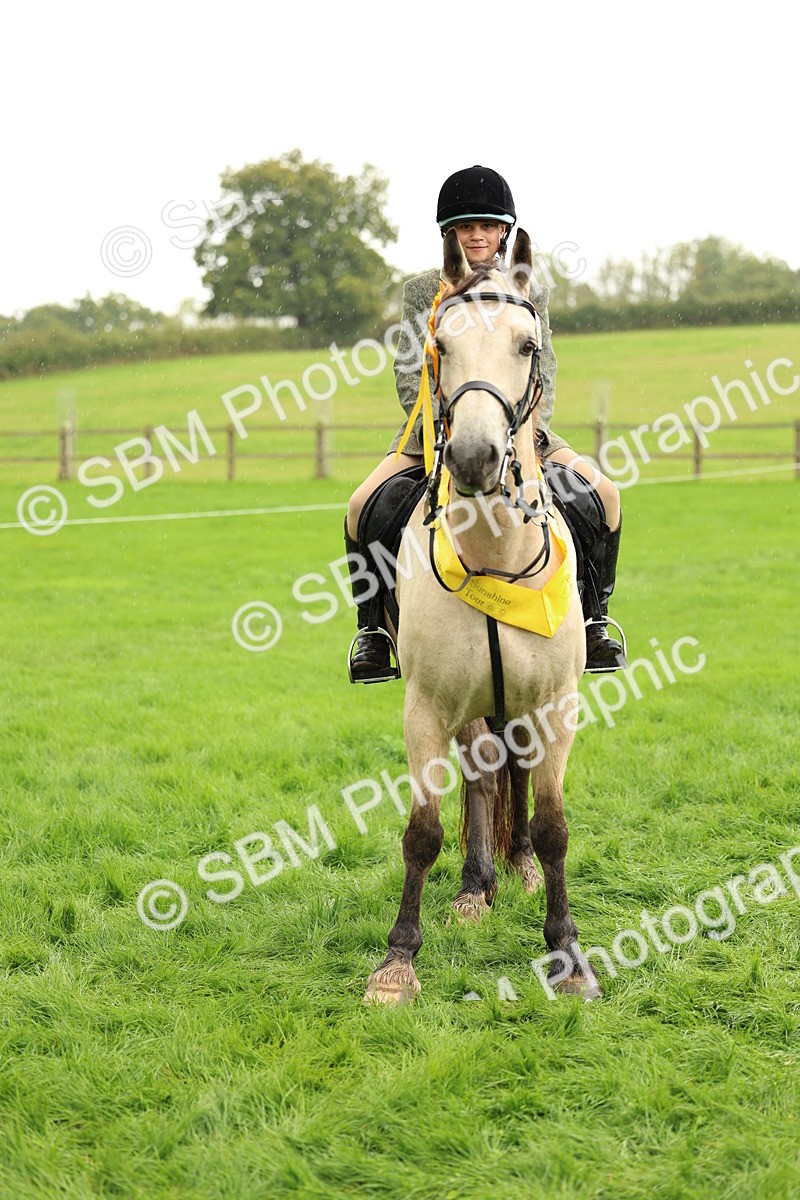 1I0A1520 - S32 - Mountain & Moorland Working Hunter Pony