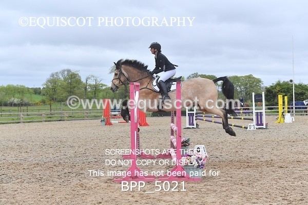 BPP_5021 - CLASS 24 SUN Senior BritiNovice/ 90cm Open