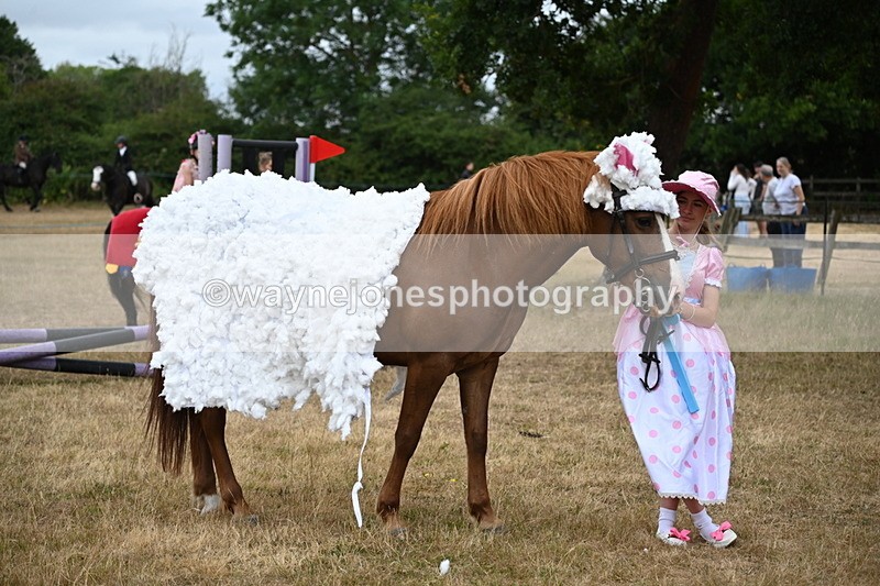 WJ6_8773 - Class 11 Fancy Dress