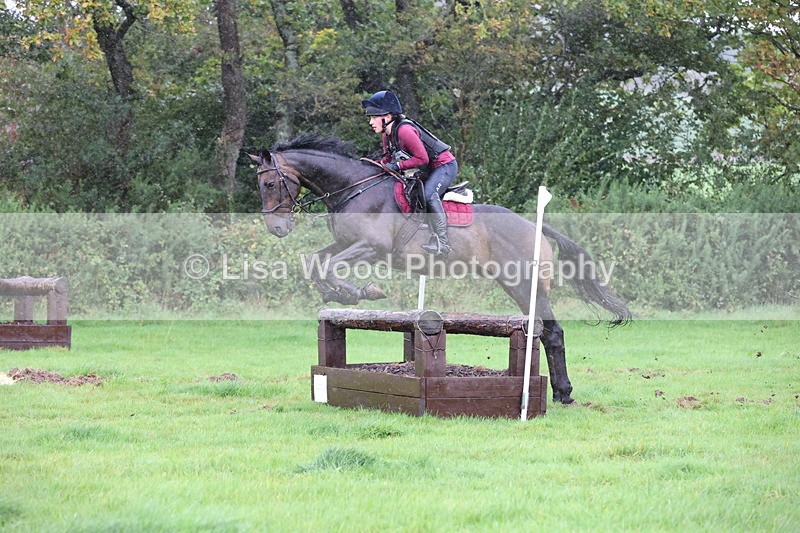 JPP_5436 - Class 4: 80cm: Crossed Logs