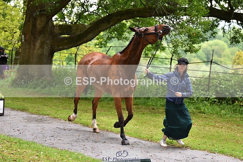 240522-152412-00313 - 329-GLOBAL_AMARETTO-Charlotte_Agnew