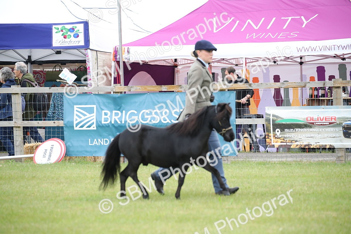 SBM_03890 - Class 23-25 - British Miniature Horse of the Year