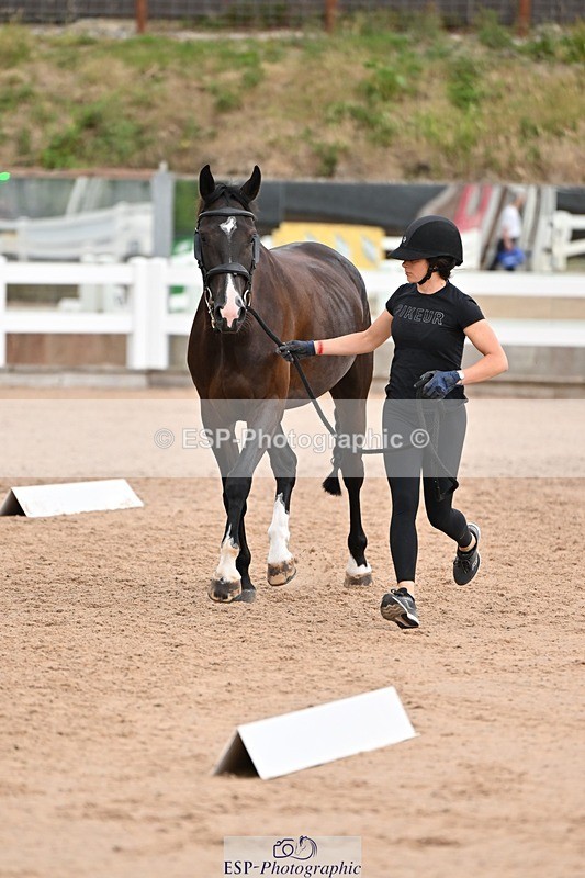250716-145900-01570 - Trot Up 2.30 to 3.30