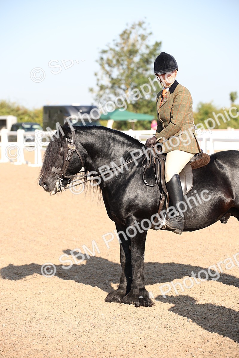 SBM_00726 - Class 14 Ridden M&M Wildcard