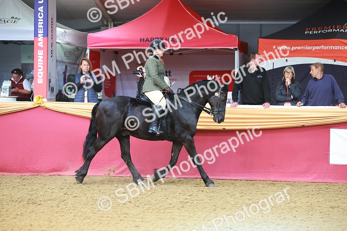 SBM_09603 - Class 102 - HOYS Veteran Qualifier - Ridden Veteran