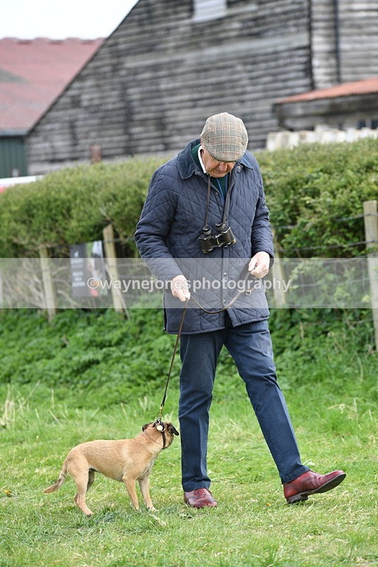 WJ5_0232 - Class 7 Best Terrier