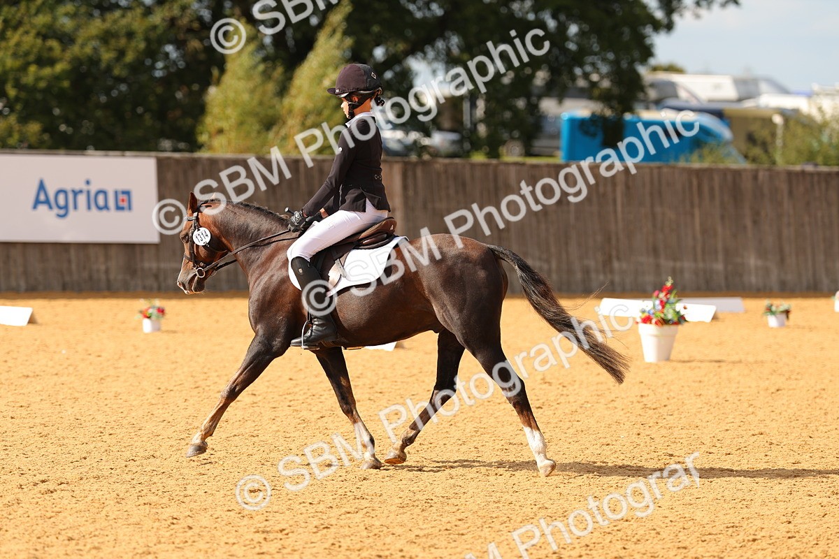 SBM_48380 - D22 - Junior Championship - Intro B