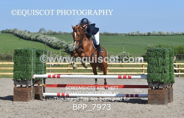 BPP_7973 - CLASS 2 Club/ Unaffiliated 80cms Open