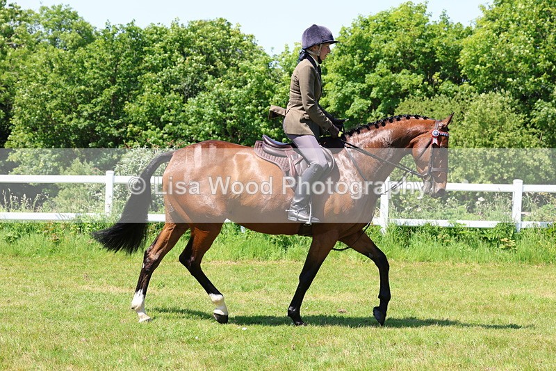 3E7A7505 - Class 31: Working Hunter Cob/Riding Horse