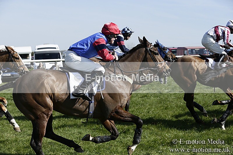 PtP 260317 208 - Mendip Farmers Point-to-Point Ston Easton 26/03/17