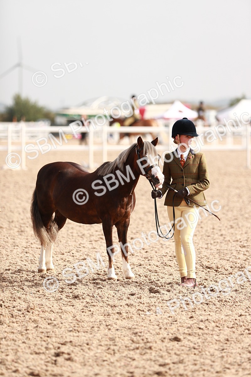SBM_10598 - Class 204 Young Handler, 11-16 years