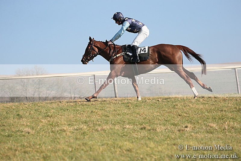 PtP 230219 114 - Vine & Craven Point-To-Point - Barbury 23/02/19