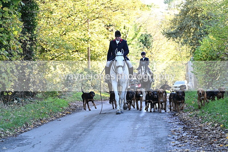 WJ7_8645 - Walk Home