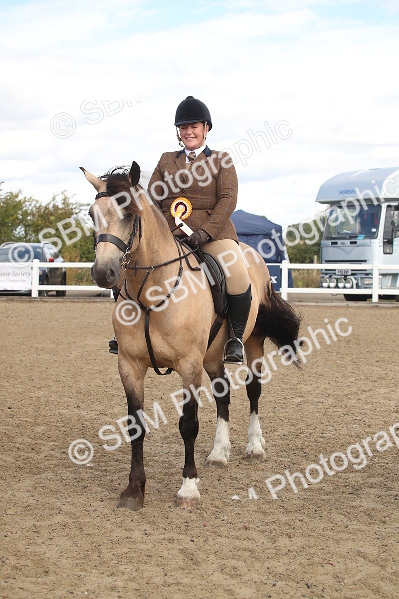 SBM_14591 - Class 505a - M&M Working Veteran - 50cm (15-19)