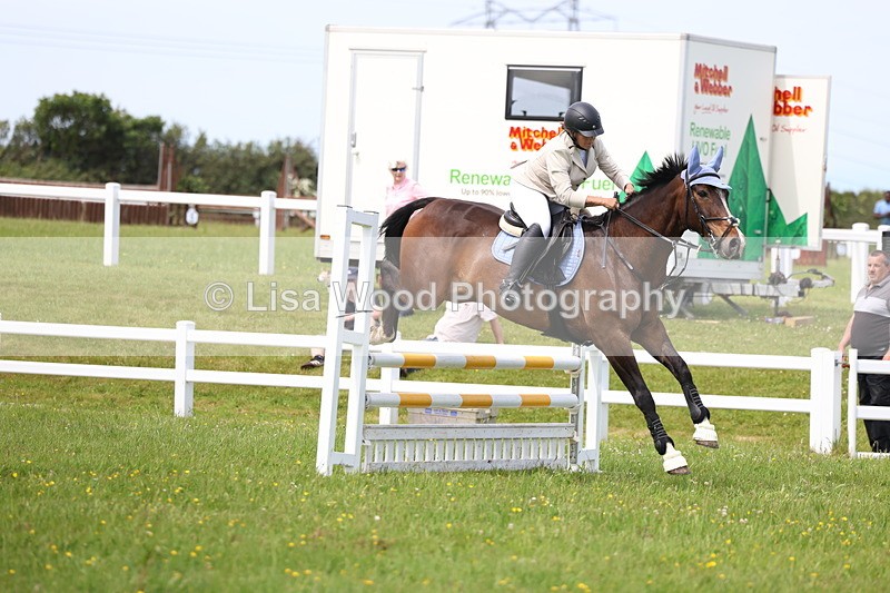 3E7A1468 - Class 13: Senior British Novice/90cm open